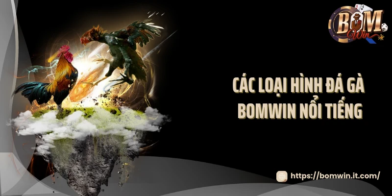 Các loại hình đá gà BOMWIN nổi tiếng