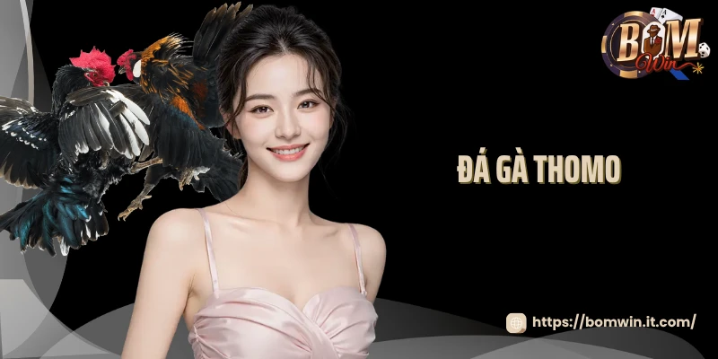 Đá gà thomo