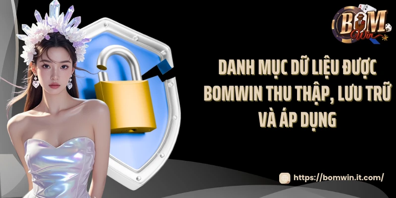 Danh mục dữ liệu được Bomwin thu thập, lưu trữ và áp dụng