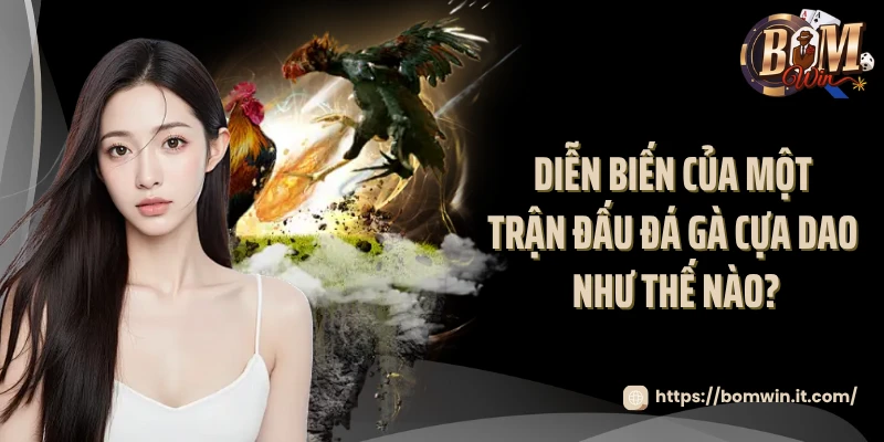 Diễn biến của một trận đấu đá gà cựa dao như thế nào?