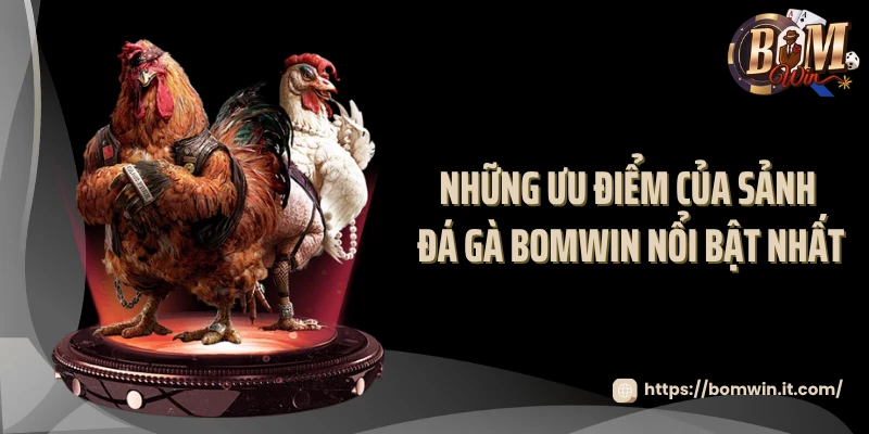 Những ưu điểm của sảnh đá gà BOMWIN nổi bật nhất